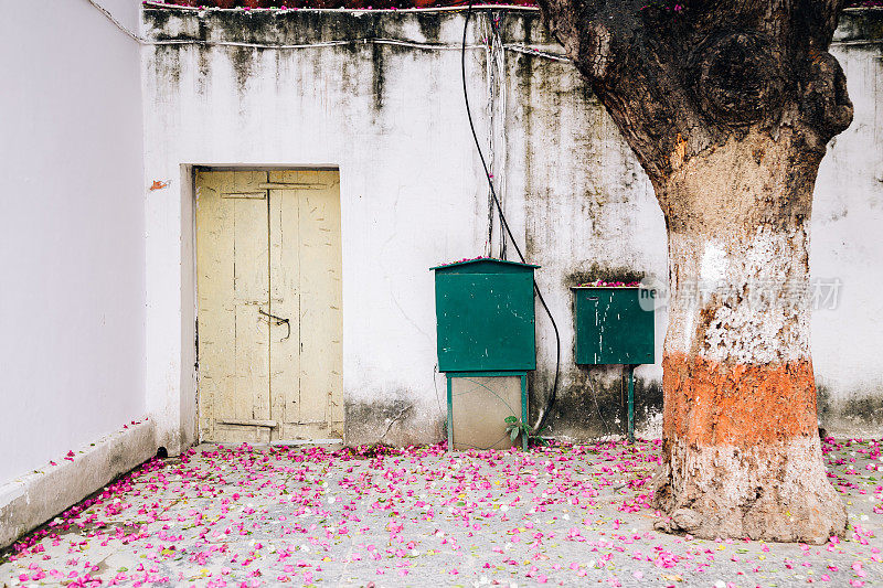 印度乌代普尔Saheliyon Ki Bari(少女花园)的落花和木门